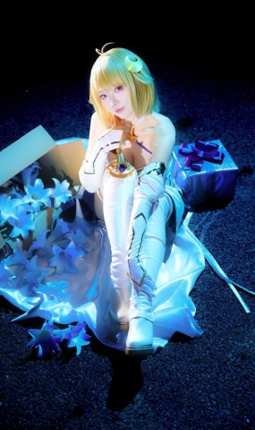 No.137 – FGO 白色月姬 [22P]